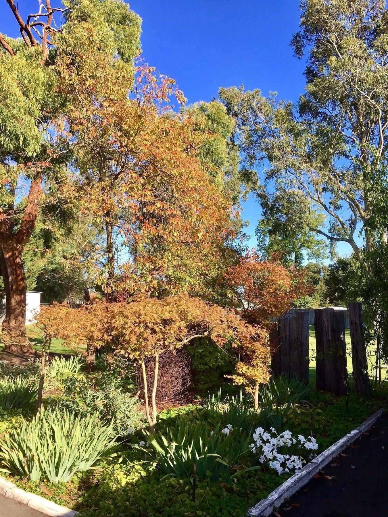 Manjimup Kingsley Motel Eksteriør bilde