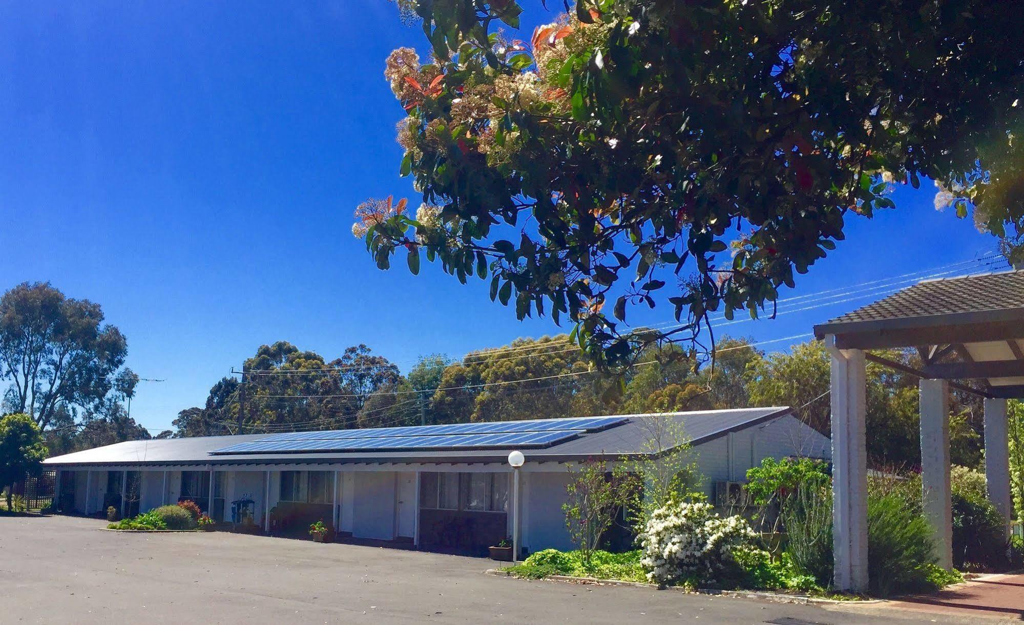 Manjimup Kingsley Motel Eksteriør bilde